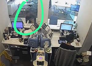 Banka müşterilerini dolandıran çete yakalandı!