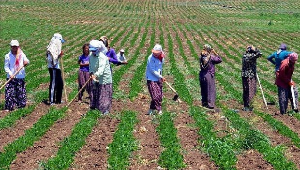 İşte 2030'a kadar zirveyi görecek meslekler! - Resim: 3