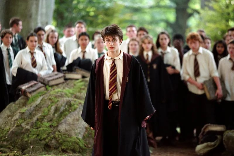 İşte Harry Potter oyuncularının bugüne kadar kazandıkları para! - Resim: 2